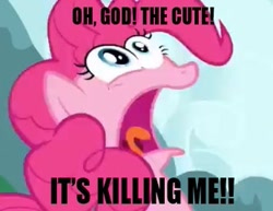 Size: 345x266 | Tagged: safe, imported from derpibooru, pinkie pie, cute, female, image macro, solo