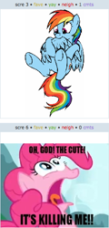 Size: 252x523 | Tagged: safe, imported from derpibooru, pinkie pie, rainbow dash, pegasus, pony, caption, exploitable meme, juxtaposition, juxtaposition win, preening