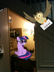 Size: 480x640 | Tagged: safe, imported from derpibooru, owlowiscious, twilight sparkle, bird, owl, pony, unicorn, adorkable, cute, dork, envelope, female, glasses, harry potter, harry potter (series), hogwarts, irl, mare, photo, ponies in real life, unicorn twilight