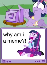 Size: 563x771 | Tagged: safe, imported from derpibooru, twilight sparkle, pony, equestria girls, equestria girls (movie), crossing the memes, existential crisis, exploitable meme, helvetica, human ponidox, memeception, self ponidox, tv meme, twilight sparkle (alicorn), twiscream