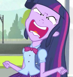 Size: 661x700 | Tagged: safe, edit, edited screencap, imported from derpibooru, screencap, twilight sparkle, equestria girls, equestria girls (movie), cropped, crossing the memes, exploitable meme, face swap, female, flutterrage, meme, memeception, solo, twiscream