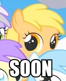 Size: 133x162 | Tagged: safe, imported from derpibooru, alula, cotton cloudy, mango dash, pluto, pegasus, pony, caption, filly, image macro, lowres, small, soon, tiny