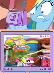 Size: 659x900 | Tagged: safe, imported from derpibooru, rainbow dash, exploitable meme, female, irl, meme, obligatory pony, photo, poop, toy, tv meme, wat, why