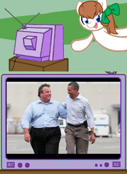 Size: 625x853 | Tagged: safe, imported from derpibooru, oc, oc only, oc:troll-raipony, barack obama, chris christie, exploitable meme, lol ur fat, politics, tv meme