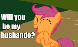 Size: 760x460 | Tagged: safe, imported from derpibooru, scootaloo, bronybait, female, husbando, image macro, solo