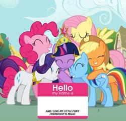 Size: 500x479 | Tagged: safe, imported from derpibooru, applejack, fluttershy, pinkie pie, rainbow dash, rarity, twilight sparkle, big crown thingy, elements of harmony, exploitable, hello my name is, mane six, name tag, official, the hub