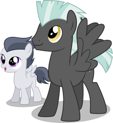 Size: 1920x2083 | Tagged: safe, artist:chainchomp2, imported from derpibooru, rumble, thunderlane, pegasus, pony, hurricane fluttershy, brothers, colt, high res, male, siblings, simple background, stallion, transparent background, vector