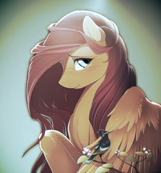 Size: 1008x1080 | Tagged: safe, artist:antiander, artist:shawnyall, edit, imported from derpibooru, fluttershy, bird, pegasus, pony, female, solo, twig