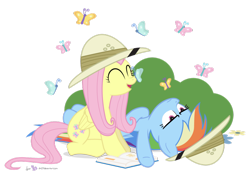 Size: 900x643 | Tagged: safe, artist:dm29, imported from derpibooru, fluttershy, rainbow dash, butterfly, pegasus, pony, bored, duo, female, happy, mare, simple background, transparent background