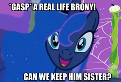 Size: 838x565 | Tagged: safe, imported from derpibooru, princess luna, brony, bronybait, female, image macro, solo, text