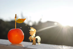 Size: 3872x2592 | Tagged: safe, artist:utterlyludicrous, imported from derpibooru, applejack, apple, appletini, female, lens flare, ponies in real life, small, solo, vector