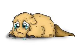 Size: 750x436 | Tagged: safe, artist:meh, imported from derpibooru, fluffy pony, amputee, crying, fluffy pony original art, sad, solo