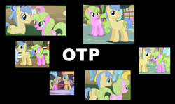 Size: 1260x748 | Tagged: safe, edit, edited screencap, imported from derpibooru, screencap, daisy, flower wishes, goldengrape, sir colton vines iii, daisygrape, exploitable meme, female, male, mare, otp, ponies standing next to each other, shipping, stallion, straight