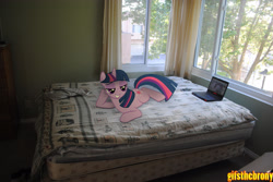 Size: 3872x2592 | Tagged: safe, artist:utterlyludicrous, imported from derpibooru, twilight sparkle, bed, computer, irl, laptop computer, photo, ponies in real life, solo, sultry pose, tree, window