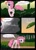 Size: 1270x1746 | Tagged: safe, artist:helenasherzblut, imported from derpibooru, pinkie pie, comic, lightning, lost memories, rain, thunder