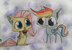 Size: 565x395 | Tagged: safe, artist:pechenyuha, imported from derpibooru, fluttershy, rainbow dash, cat, cute, muffin, rainbow cat, species swap