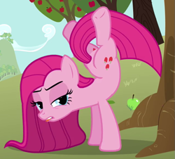 Size: 633x571 | Tagged: safe, imported from derpibooru, screencap, pinkie pie, earth pony, pony, magical mystery cure, active stretch, alternative cutie mark placement, animation error, apple, applebucking, backbend, balloonbutt, bucking, butt, female, flexible, handstand, inner thigh cutie mark, mare, out of context, pinkamena diane pie, plot, solo, swapped cutie marks