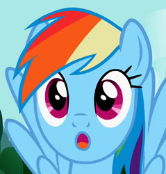 Size: 582x610 | Tagged: safe, imported from derpibooru, screencap, rainbow dash, pegasus, pony, may the best pet win, :o, cropped, face, faic, female, mare, solo