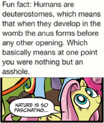 Size: 397x473 | Tagged: safe, edit, idw, imported from derpibooru, fluttershy, pegasus, pony, anus, exploitable meme, female, funny, mare, meme, nature is so fascinating, text, vulgar