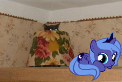 Size: 897x603 | Tagged: safe, imported from derpibooru, princess luna, cat, creepy, filly, ponies in real life, soon, woona