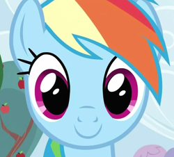 Size: 680x615 | Tagged: safe, imported from derpibooru, rainbow dash, face, female, solo