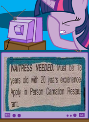 Size: 562x771 | Tagged: safe, imported from derpibooru, twilight sparkle, exploitable meme, facehoof, fail, meme, newspaper, tv meme