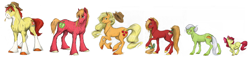 Size: 7736x1832 | Tagged: safe, artist:earthsong9405, imported from derpibooru, apple bloom, applejack, big macintosh, granny smith, oc, oc:hard cider, oc:peach velvet, earth pony, pony, applejack's dad, applejack's mom, applejack's parents, braid, draft horse, family, female, filly, hilarious in hindsight, line-up, male, mare, parent, realistic anatomy, realistic horse legs, simple background, socks (coat marking), socks (coat markings), stallion, straw in mouth, tail wrap, unshorn fetlocks, white background