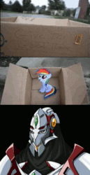 Size: 497x960 | Tagged: safe, imported from derpibooru, rainbow dash, pegasus, pony, fanfic:my little dashie, dashie meme, evil people finding dash meme, exploitable meme, filly, gif, meme, non-animated gif, super robot wars