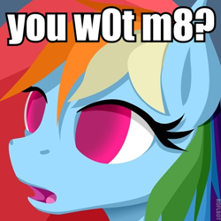 Size: 499x500 | Tagged: safe, imported from derpibooru, rainbow dash, blind dash, female, image macro, solo, u wot m8