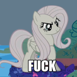 Size: 404x404 | Tagged: safe, edit, edited screencap, imported from derpibooru, screencap, fluttershy, the return of harmony, animated, caption, chappelle's show, discorded, female, flutterbitch, image macro, prancing, solo, text, vulgar