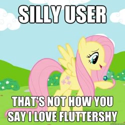 Size: 310x310 | Tagged: safe, imported from derpibooru, fluttershy, artifact, female, image macro, reaction image, solo