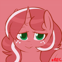 Size: 500x500 | Tagged: safe, artist:redintravenous, imported from derpibooru, oc, oc only, oc:red ribbon, unicorn, camera, camera shot, female, mare, solo, tumblr