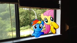 Size: 1920x1080 | Tagged: safe, artist:mr-kennedy92, imported from derpibooru, fluttershy, rainbow dash, blinds, forest, looking in, ponies in real life, vector, window