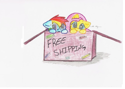 Size: 1015x721 | Tagged: safe, artist:umbreon24, imported from derpibooru, fluttershy, rainbow dash, pegasus, pony, :o, box, cardboard box, chibi, cute, dashabetes, female, filly, floppy ears, flutterbox, free shipping, head tilt, leaning, looking at you, oh my, open mouth, pony in a box, shyabetes, simple background, sweat, traditional art, white background