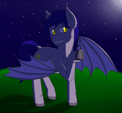 Size: 1280x1194 | Tagged: safe, artist:supervanman64, imported from derpibooru, oc, oc only, bat pony, pony, night, solo