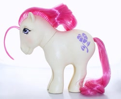 Size: 427x348 | Tagged: safe, imported from derpibooru, birthflower ponies, february violet, g1, irl, photo, toy