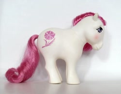 Size: 640x497 | Tagged: safe, imported from derpibooru, october cosmos, birthflower ponies, g1, irl, photo, toy
