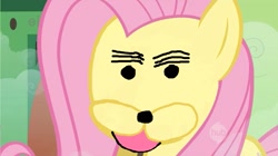 Size: 1023x574 | Tagged: safe, imported from derpibooru, fluttershy, female, solo, spurdo spärde