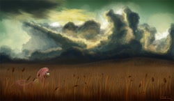 Size: 1000x579 | Tagged: safe, artist:psychoanalytic, imported from derpibooru, fluttershy, female, field, scenery, solo, storm