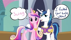 Size: 1280x720 | Tagged: dead source, safe, artist:kryptchild, edit, imported from derpibooru, princess cadance, shining armor, canterlot, speech bubble, stupid, swag, text, thought bubble, vulgar