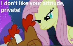 Size: 1280x800 | Tagged: safe, edit, edited screencap, imported from derpibooru, screencap, fluttershy, chicken, pony, stare master, caption, drill sergeant, female, mare, text