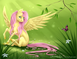 Size: 1024x780 | Tagged: safe, artist:silverleafx, imported from derpibooru, fluttershy, butterfly, pegasus, pony, cute, female, mare, realistic, shyabetes, solo