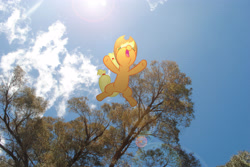 Size: 3872x2592 | Tagged: safe, artist:utterlyludicrous, imported from derpibooru, applejack, falling, female, lens flare, ponies in real life, solo, sun, tree, vector