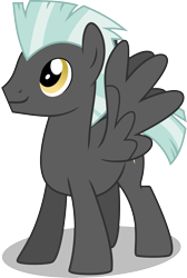 Size: 6000x8914 | Tagged: safe, artist:chainchomp2, imported from derpibooru, thunderlane, pegasus, pony, absurd resolution, male, simple background, solo, stallion, transparent background, vector