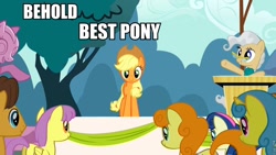 Size: 960x540 | Tagged: safe, edit, edited screencap, imported from derpibooru, screencap, applejack, bon bon, caramel, carrot top, golden harvest, lemon hearts, mayor mare, parasol, earth pony, pegasus, pony, unicorn, the last roundup, behold, best pony, facts, female, image macro, male, mare, stallion