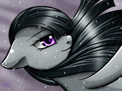 Size: 1400x1050 | Tagged: safe, artist:princesssilverglow, imported from derpibooru, marble pie, female, rain, solo