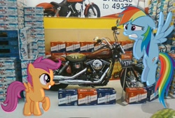 Size: 1280x866 | Tagged: safe, artist:wolfjava, imported from derpibooru, rainbow dash, scootaloo, beer, motorcycle, ponies in real life, walmart