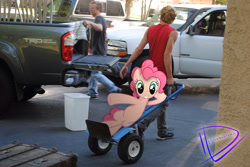 Size: 3872x2592 | Tagged: safe, artist:utterlyludicrous, imported from derpibooru, pinkie pie, human, cart, irl, irl human, photo, pick up, ponies in real life, trash can, truck, vector