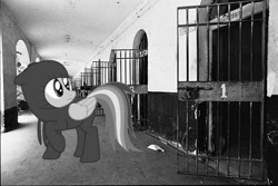 Size: 500x333 | Tagged: safe, artist:snakeman1992, imported from derpibooru, rainbow dash, alcatraz, bars, black and white, grayscale, irl, ninja, photo, ponies in real life, prison, solo, vector