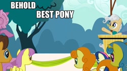 Size: 960x540 | Tagged: safe, edit, edited screencap, imported from derpibooru, screencap, caramel, carrot top, golden harvest, lemon hearts, mayor mare, parasol, the last roundup, behold, best pony, exploitable, forced meme, meme, template